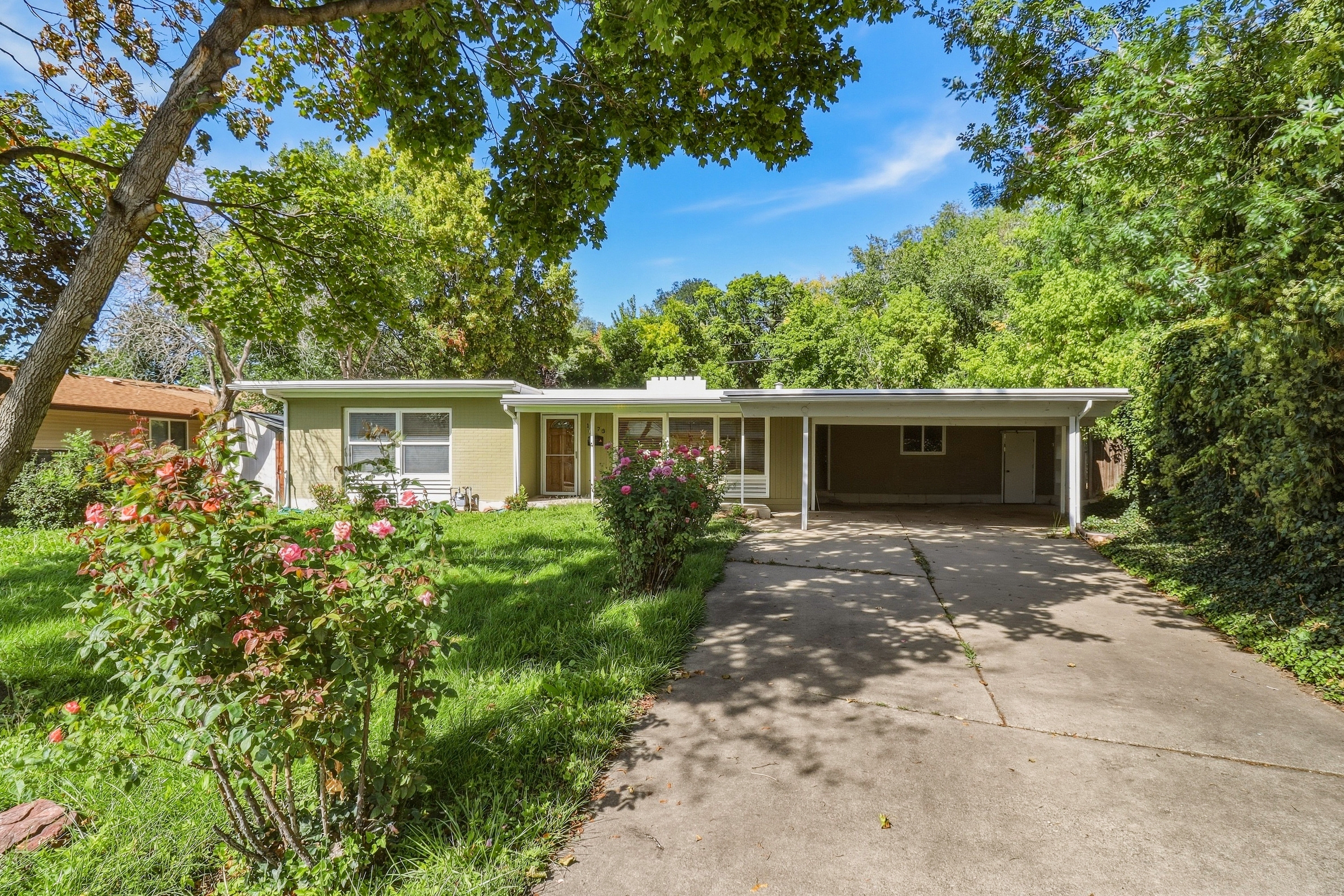 1373 East Luck Spring Drive
