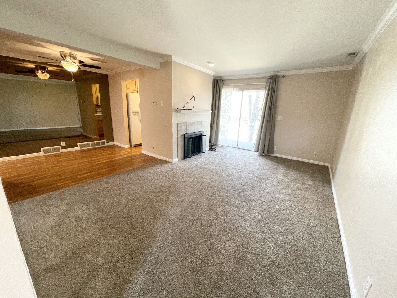 2438 South Elizabeth Street #3 - 1