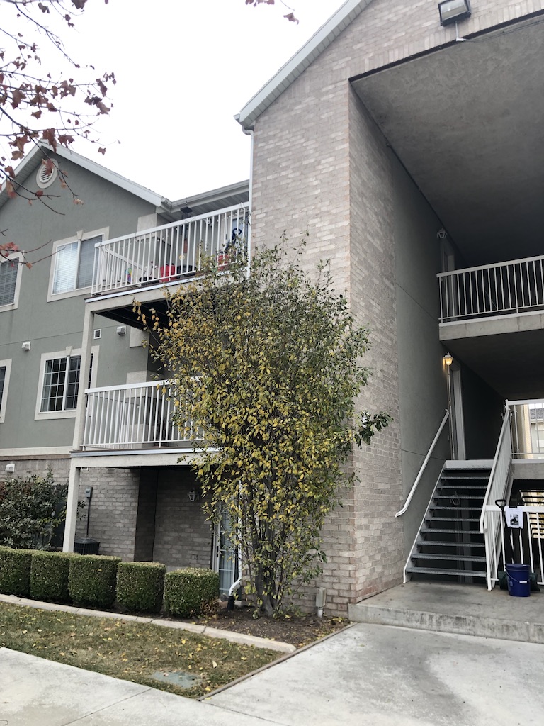1247 W 1520 N